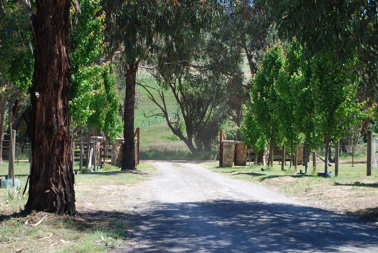 Bluegum Ridge Cottages Merrijig Luaran gambar