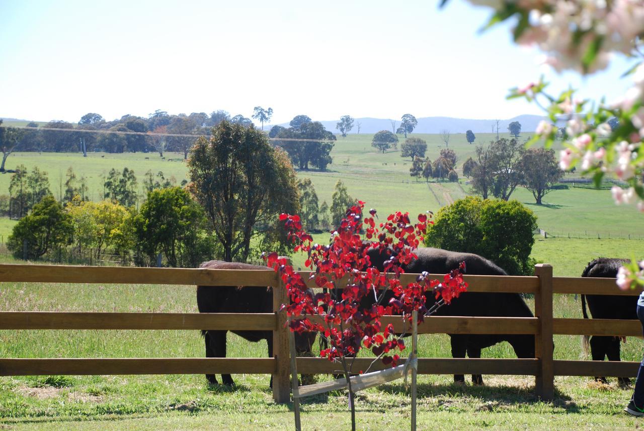 Bluegum Ridge Cottages Merrijig Luaran gambar