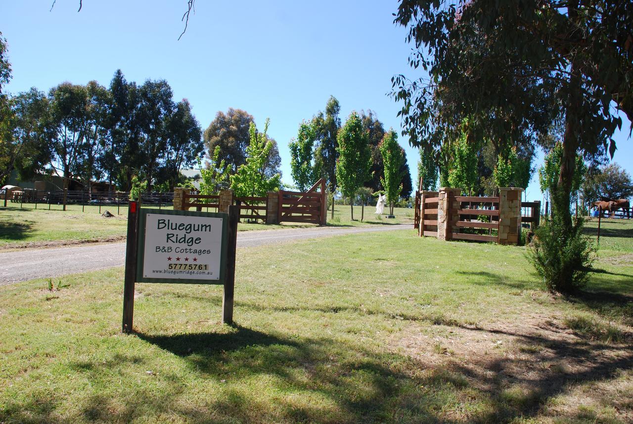 Bluegum Ridge Cottages Merrijig Luaran gambar