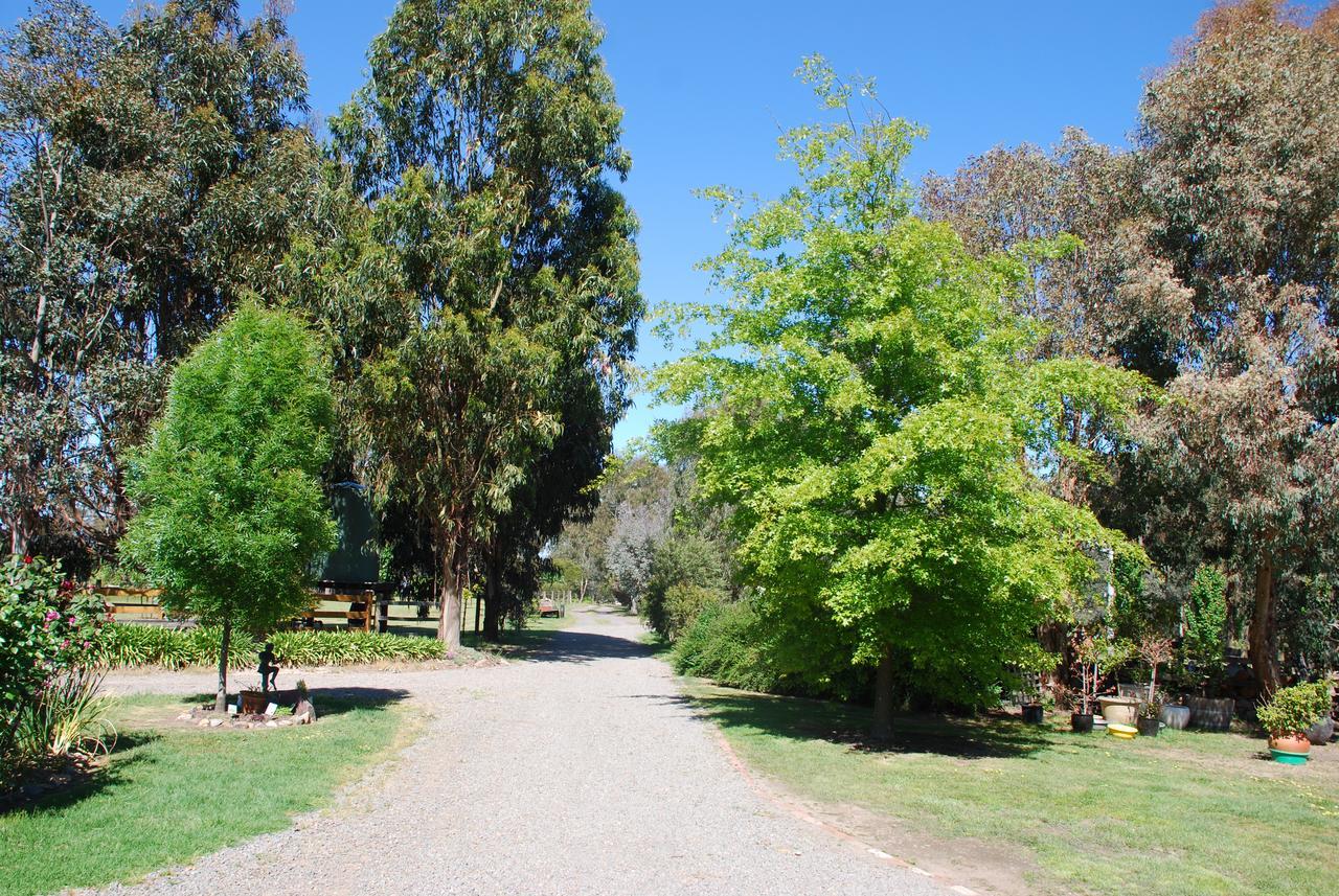 Bluegum Ridge Cottages Merrijig Luaran gambar
