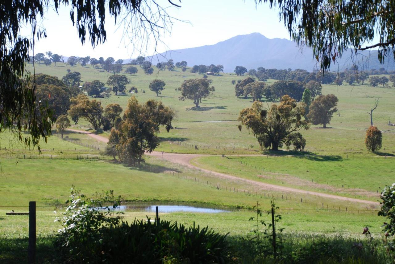 Bluegum Ridge Cottages Merrijig Bilik gambar