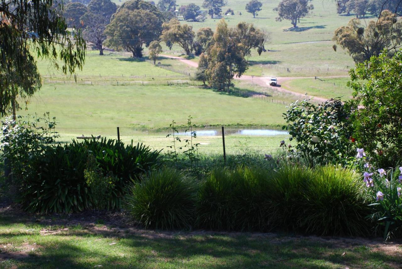 Bluegum Ridge Cottages Merrijig Bilik gambar